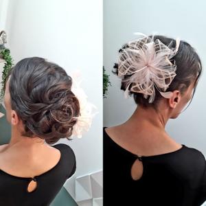 chignon